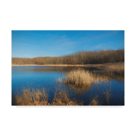Anthony Paladino 'Reeds And Bull Rush In Pond' Canvas Art,12x19
